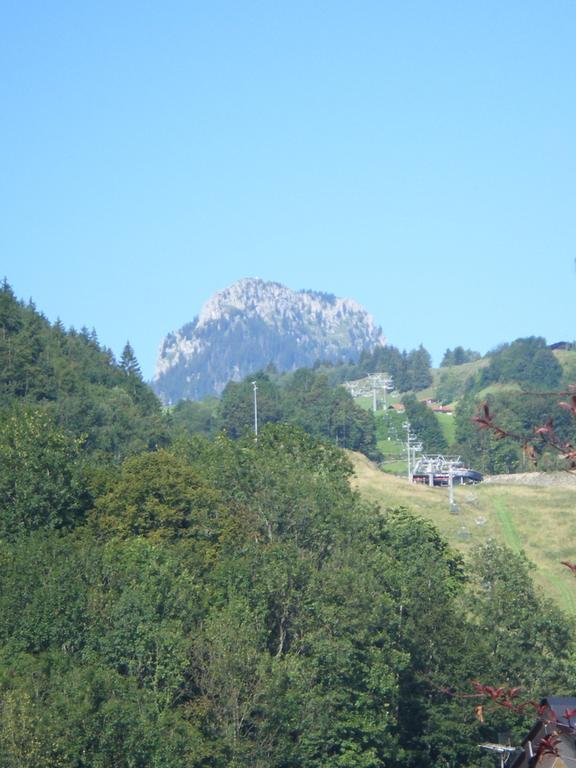 Ferienwohnung Heidinger Oberaudorf Exterior foto